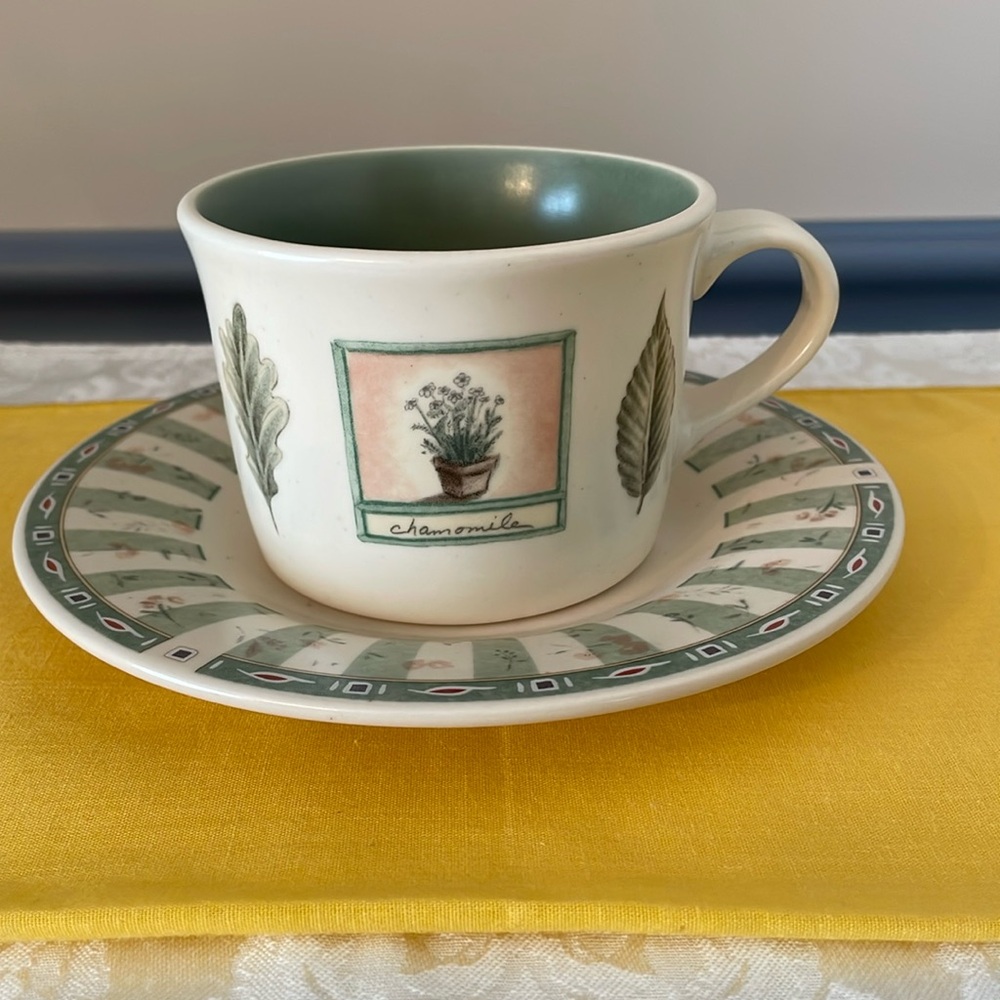 Pfaltzgraff Naturewood mug and saucer